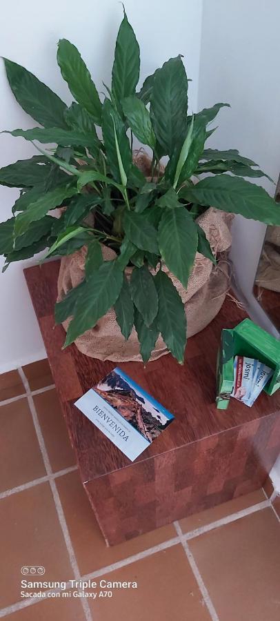 Apartament Brenas Garden C9 Breña Baja Zewnętrze zdjęcie